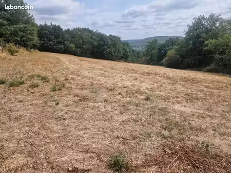 terrain 1 293 m² lissac sur couze