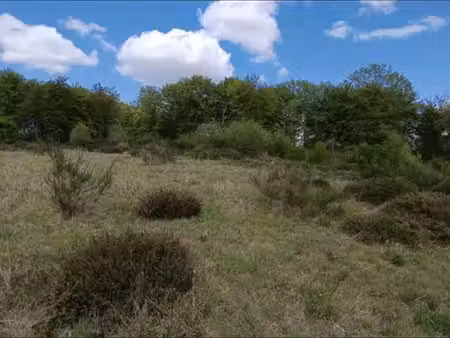 terrain agricole 2.6 ha