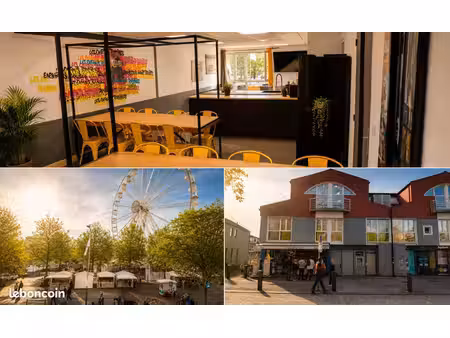 investissement locatif  projet touristique ou appartement à vivre