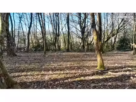 a louer terrain boisé 3000m² isolé à la campagne en forêt ladignac-sur-rondelles