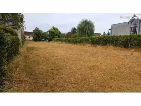 terrain constructible