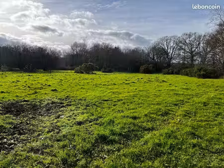 terrain naturel 2 hectares