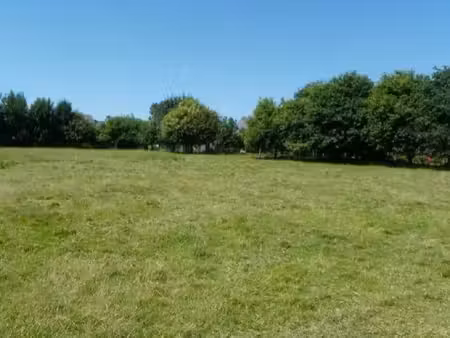 recherche terrain à vendre