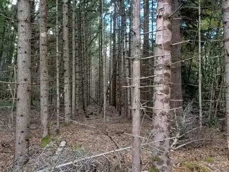 terrains non constructif