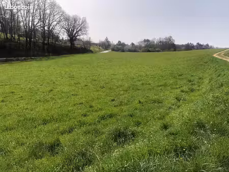 terrain de près d’1 hectare – eau  électricité et accès route