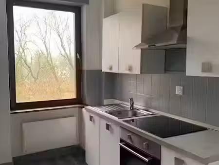 location appartement 2 pièces 59 m² à strasbourg (67000)  700 €