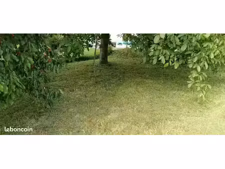 terrain avec des arbres fruitiers