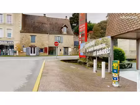 ensemble immobilier - 2 locaux commerciaux - 1 logement avec jardin