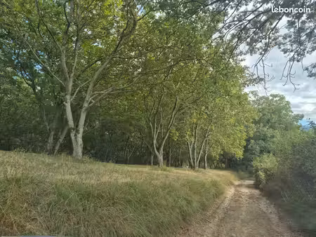 terrains agricole
