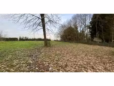 terrain 2 300 m²
