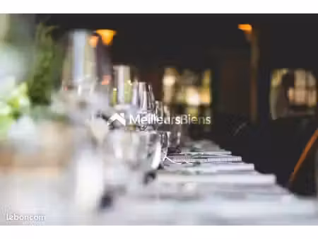 commerce restaurant 360 m²