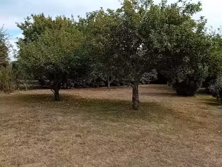 terrain constructible 540 ou 270 m2