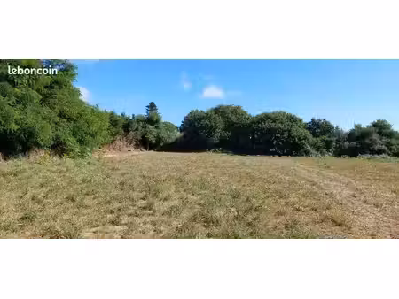terrain 1411m2
