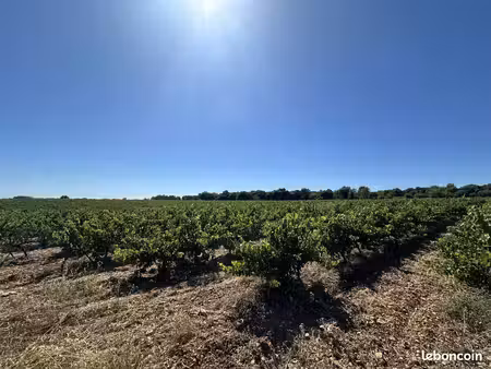 terrain 60520 m² fontanès