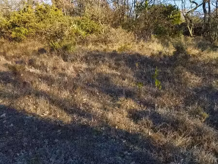 terrain de loisirs