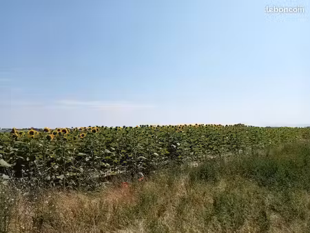 terres agricoles