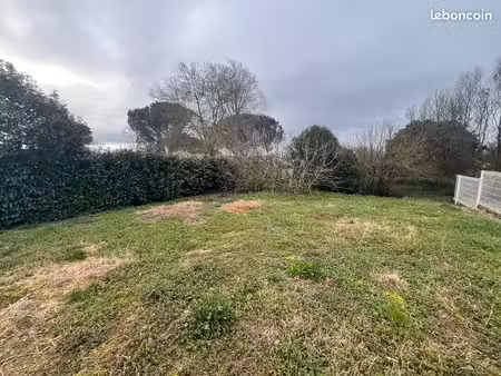 terrain 5' de muret