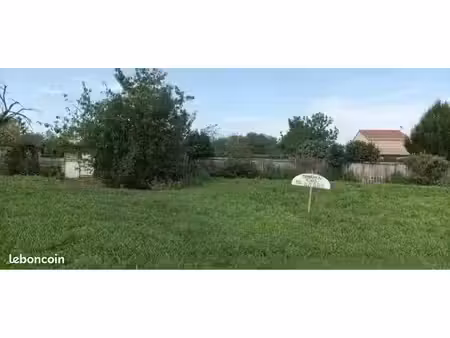 terrain constructible