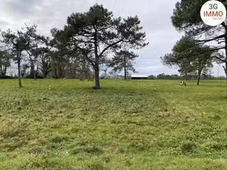 vente terrain à grand-champ (56390) : à vendre / grand-champ
