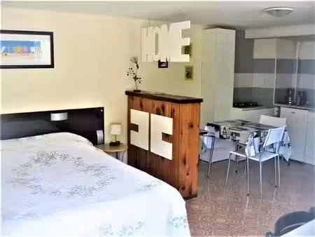 location meublée appartement 1 pièce 28 m² à saint-germain-des-fossés (03260)  445 €