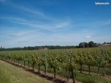 terrain 500 m² saint savin