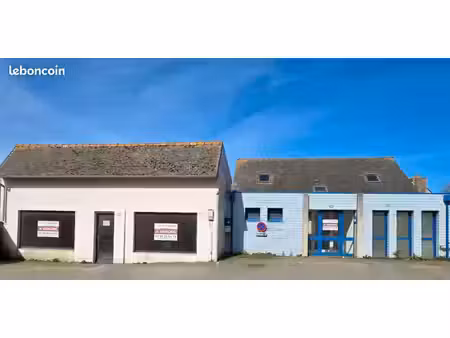 local 239 m² plouneventer