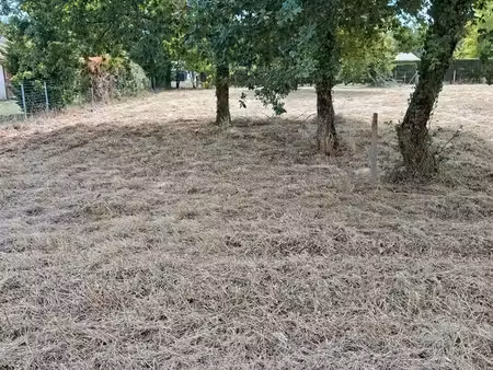 terrain 1375 m2