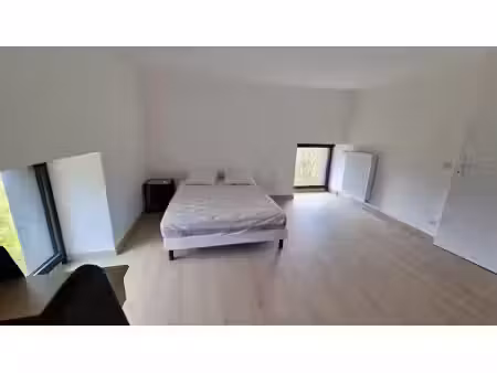 location meublée appartement 36.15 m² à rochefort-montagne (63210)  391 €