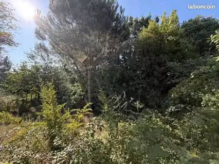terrain 550 m² le taillan medoc