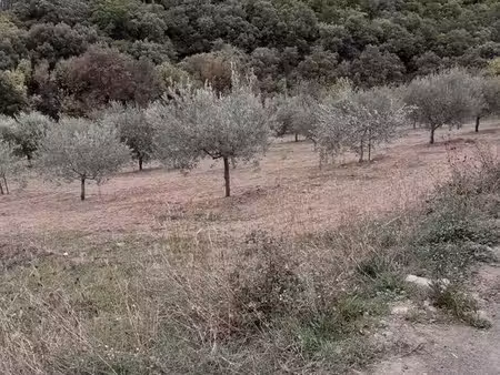 terrain agricole