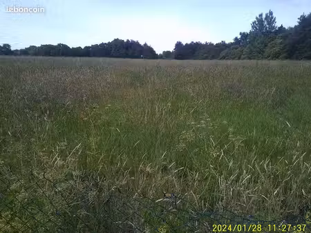 terrain agricole