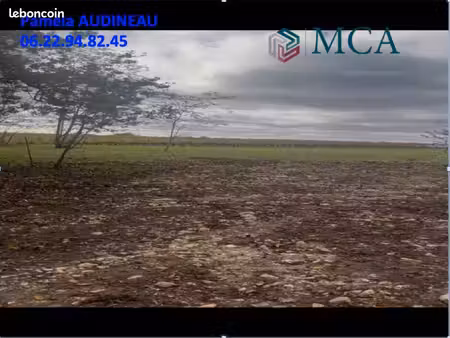 terrain 5 000 m² langoiran
