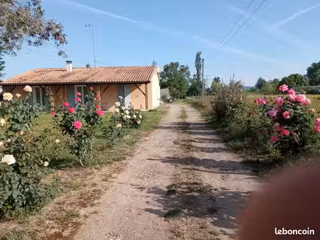 maison 120m²