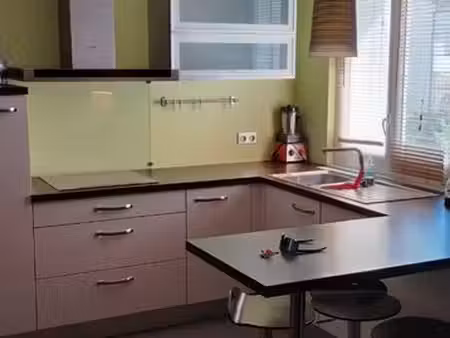 appartement t3 seyssinet pariset
