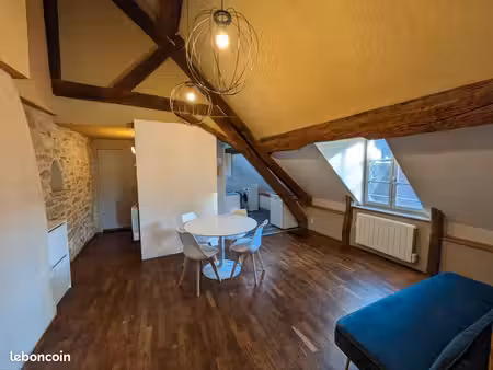 appartement meublé de 36 m² loi carrez (49 m² au sol) 