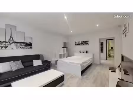 t1 bis meublé et équipé avec goût – centre-ville de dole