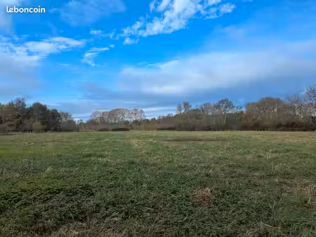 prairie