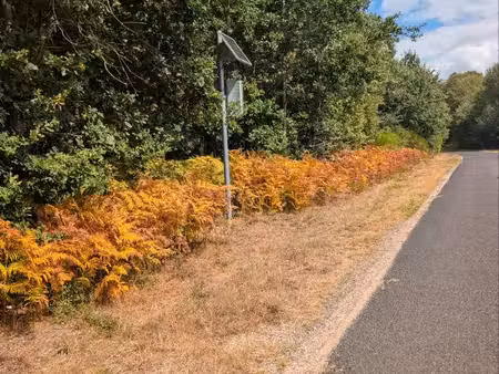 vente terrain non constructible