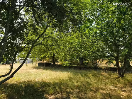 terrain 4 700 m² pissos