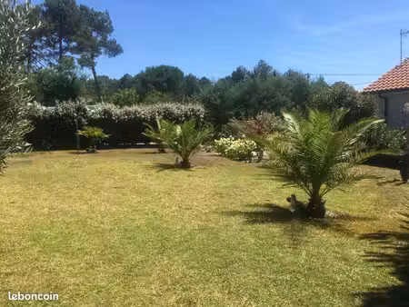 terrain ou grange