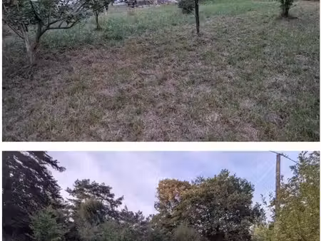 biaudos – terrain à bâtir 1 297 m² – 160 000 – dp + g1