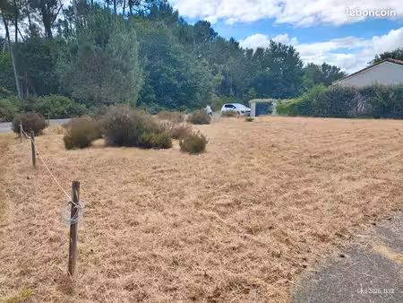 terrain constructible 691m² à vielle saint-girons (landes) n° 26