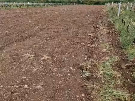 terrain agricole