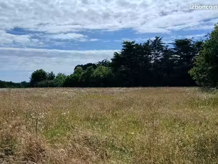recherche terrain constructible