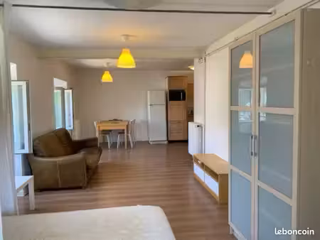 rare appartement à champagnier
