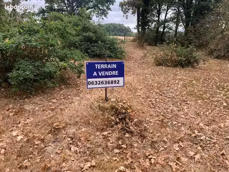 terrain constructible