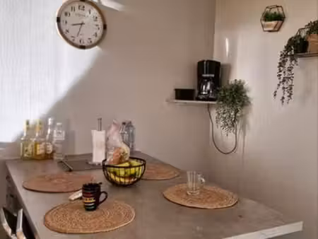 vends appartement duplex