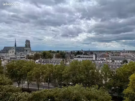 a vendre: orléans centre appartement de 100m2