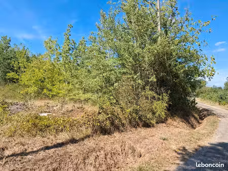 terrain plantation noyers et taillis