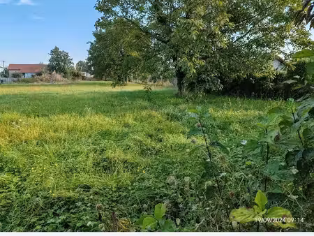 terrain constructible